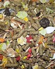 Higgins 466573 Higg Sunburst Guinea Pig Food