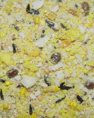 Higgins Group Higgins Avian Proteen Eggfood