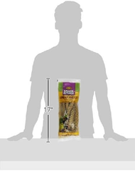 Higgins 466003 Higg Spray Millet For Birds