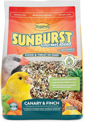 Higgins Sunburst Canary Finch