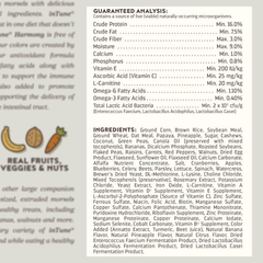 Intune Higgins Harmony Parrot and Large Bird Food