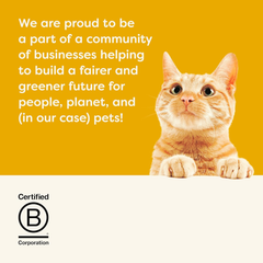 Applaws Natural Cat Treats, Grain-Free Single Ingredient Cat Treats, Whole Protein Fillet Cat Treats, Healthy Cat Snacks, No Artificials (Whole Chicken & Rosemary Loin)