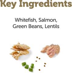 Applaws Taste Toppers, Natural Dog Food Topper, 6 Count, Limited Ingredient Meal Topper for Dogs, Whitefish with Salmon, Green Beans & Lentils in Gravy