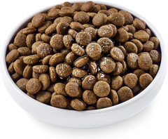 Applaws Taste Toppers, Bone Broth for Dogs, Natural Dog Food Topper, 6 Count, Limited Ingredient, Grain Free, Meal Topper for Dogs, Chicken Bone Broth with Turmeric & Parsley