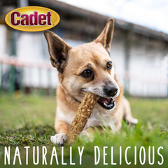 Cadet Smart Hide Rawhide Free Dog Treats – Peanut Coated