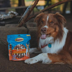 Cadet Gourmet Triple-Flavored Beef Hide Shish Kabob Dog Treats - Healthy & Natural Chicken, Duck, & Sweet Potato Dog Treats, 5 in.