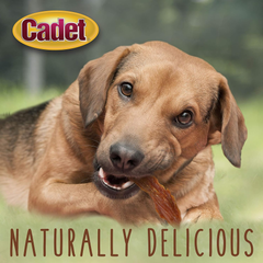 Cadet Gourmet Duck Breast Jerky Dog Treats, Healthy, Long-Lasting High-Protein Training Treats for Small & Large Dogs