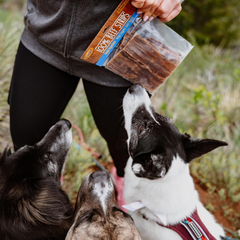 Cadet 100% Beef Strips Dog Chew Sticks, Long-Lasting Single-Ingredient Natural Treats, High-Protein, Perfect for Small & Large Breeds