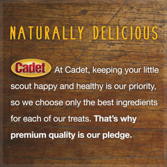 Cadet 100% Beef Strips Dog Chew Sticks, Long-Lasting Single-Ingredient Natural Treats, High-Protein, Perfect for Small & Large Breeds