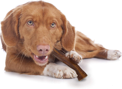 Cadet 100% Beef Strips Dog Chew Sticks, Long-Lasting Single-Ingredient Natural Treats, High-Protein, Perfect for Small & Large Breeds