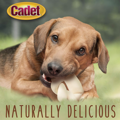 Cadet Premium Grade Beef Hide for Dogs, Long Lasting Rawhide Donut Bone, Single Ingredient Dog Chews, 5 Inch