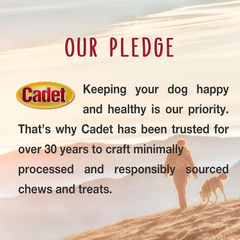 Cadet Premium Grade Beef Hide for Dogs, Long Lasting Rawhide Donut Bone, Single Ingredient Dog Chews, 5 Inch