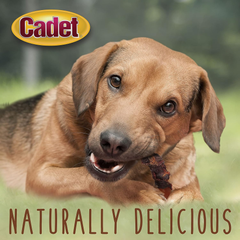 Cadet Gourmet Sweet Potato & Chicken Wraps Limited-Ingredient Dog Chews, Healthy and Natural Training Treats for Small and Large Dogs