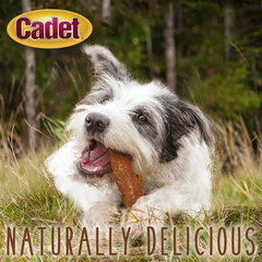 Cadet Gourmet Chicken Breast Dog Treats - Healthy & Natural Chicken Dog Training Treats for Small & Large Dogs - Inspected & Tested in USA