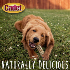 Cadet Smart Hide Rawhide Free Dog Treats – Oat Coated