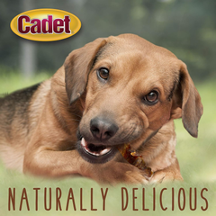 Cadet Gourmet Sweet Potato & Chicken Wraps Limited-Ingredient Dog Chews, Healthy and Natural Training Treats for Small and Large Dogs