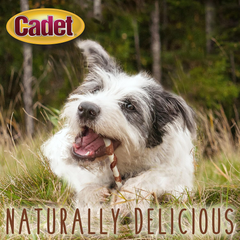 Cadet Gourmet Beef Hide Twist Chew Sticks, Long Lasting & Natural Chew Treats for Dogs, Inspected & Tested in USA, Duck Flavor