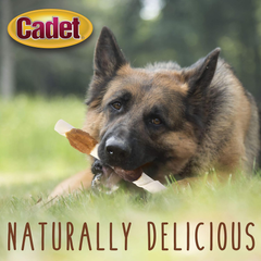 Cadet Gourmet Shish Kabob Dog Chews for Large Dogs, Rawhide Treats with Chicken and Sweet Potato, Healthy & Natural Beef Hide, 10-Inch Sticks