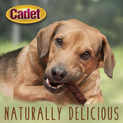 Cadet Gourmet Triple Chews Long-Lasting Pork Hide Sticks with Apple and Duck, Healthy Dog Treats for Small & Large Dogs