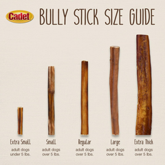 Cadet Bully Sticks for Small Dogs – All-Natural Beef Pizzle, High Protein, Low Fat, Long-Lasting, Grain & Rawhide-Free Dog Chews for Aggressive Chewers, Small