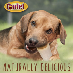 Cadet Double Stuffed Shin Bone - Highly Digestible, High Protein, Long-Lasting Dog Chew Bone for Aggressive Chewers, Supports Dental Health, - Bacon & Cheese Flavor