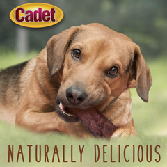 Cadet Premium Grade Beef Hide Chips for Dogs Beef Flavor