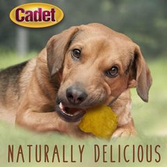 Cadet Premium Grade Beef Hide for Dogs, Rawhide Long Lasting Dog Chews, Chips, Curls & Rolls for Small/Medium/Large Dogs
