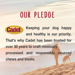 Cadet Premium Grade Beef Hide for Dogs, Long-Lasting Munchy Chew Sticks, Single-Ingredient Rawhide Dog Chews, 5-Inch
