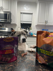 Cadet Gourmet Sweet Potato & Chicken Wraps Limited-Ingredient Dog Chews, Healthy and Natural Training Treats for Small and Large Dogs