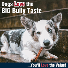 Cadet Bully Hide Sticks for Small Dogs, All-Natural Beef Pizzle, Limited-Ingredient Long-Lasting Dog Chews for Aggressive Chewers
