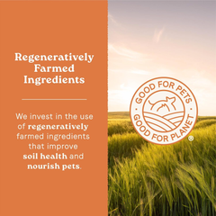 Canidae All Life Stages Multi-Protein Recipe with Chicken, Turkey, Lamb, and Fish – High Protein Premium Dry Dog Food for All Ages, Breeds, and Sizes