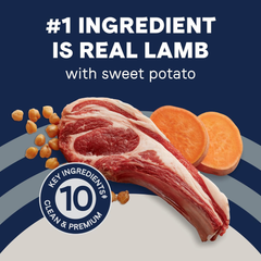 Canidae Pure Real Lamb & Pea Recipe Adult Dry Dog