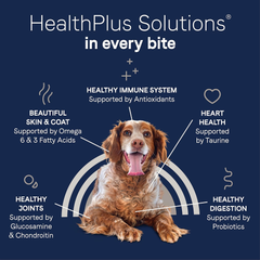 Canidae Pure SENIOR Real Chicken, Sweet Potato & Garbanzo Bean Recipe Dog Dry