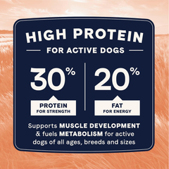 Canidae All Life Stages High Protein Dry Dog Food, Salmon & Ancient Grains Recipe