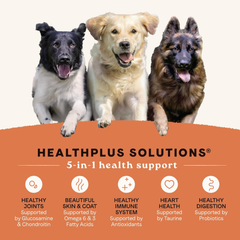 Canidae All Life Stages High Protein Dry Dog Food, Salmon & Ancient Grains Recipe