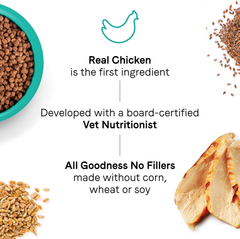 Canidae Goodness for Digestion, Premium Adult Dry Cat Food with Real Chicken