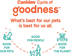 Canidae Goodness for Digestion, Premium Adult Dry Cat Food with Real Chicken