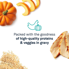 Canidae Balanced Bowl Wet Cat Food, Chicken & Pumpkin Recipe