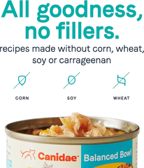 Canidae Balanced Bowl Wet Cat Food, Chicken & Pumpkin Recipe