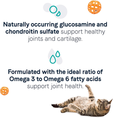 Canidae Goodness for Joints, Premium Adult Dry Cat Food with Real Salmon