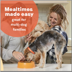 Canidae All Life Stages Dry Dog Food, Multi-Protein Formula