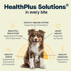 Canidae All Life Stages Premium Dry Dog Food for All Breeds, Multi-Protein Recipe with Chicken, Turkey & Lamb Meals Recipe, For All Ages & Multi-Dog Homes