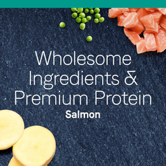 Canidae Pure Limited Ingredient Premium Dry Cat Food, Real Salmon Recipe, , Grain Free