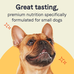 Canidae PURE Petite Limited Ingredient Premium Small Breed Wet Dog Food, Lamb and Carrot Morsels in Sauce, Grain Free