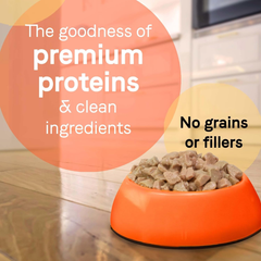 Canidae PURE Petite Limited Ingredient Premium Small Breed Wet Dog Food, Lamb and Carrot Morsels in Sauce, Grain Free