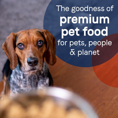 CANIDAE® PURE Lamb, Turkey & Chicken Recipe Dog Wet