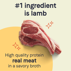 Canidae PURE Limited Ingredient Premium Adult Wet Dog Food, Lamb Recipe