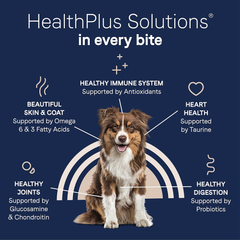 CANIDAE Pure Real Lamb & Brown Rice Recipe Dog Dry