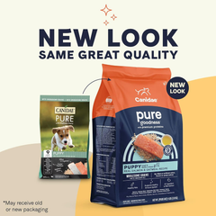 CANIDAE Pure Dry Puppy Food with Wholesome Grains, Real Salmon & Oatmeal