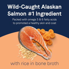 CANIDAE Pure Bone Broth Topper with Real Salmon & Rice Wet Dog Food 1ea
